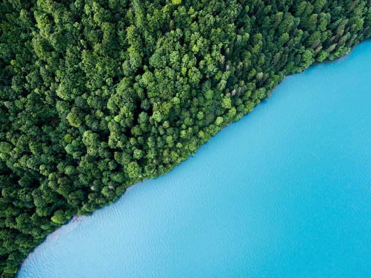 Eine Aufnahme aus der Vogelperspektive. Links sieht man einen dichten Wald und rechts hellblaues Wasser.