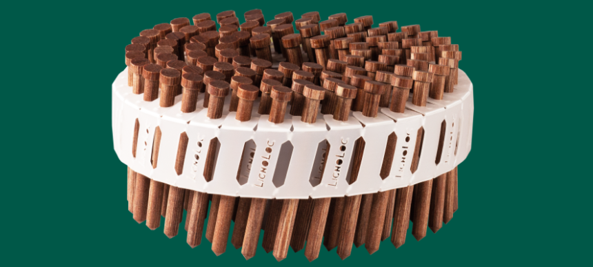 LignoLoc® Holznägel in einer spiralförmigen Anordnung auf einer weißen Kunststoffhalterung vor grünem Hintergrund